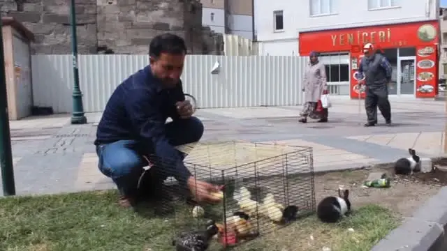 kayseri sehrin ortasinda ali babanin ciftligi