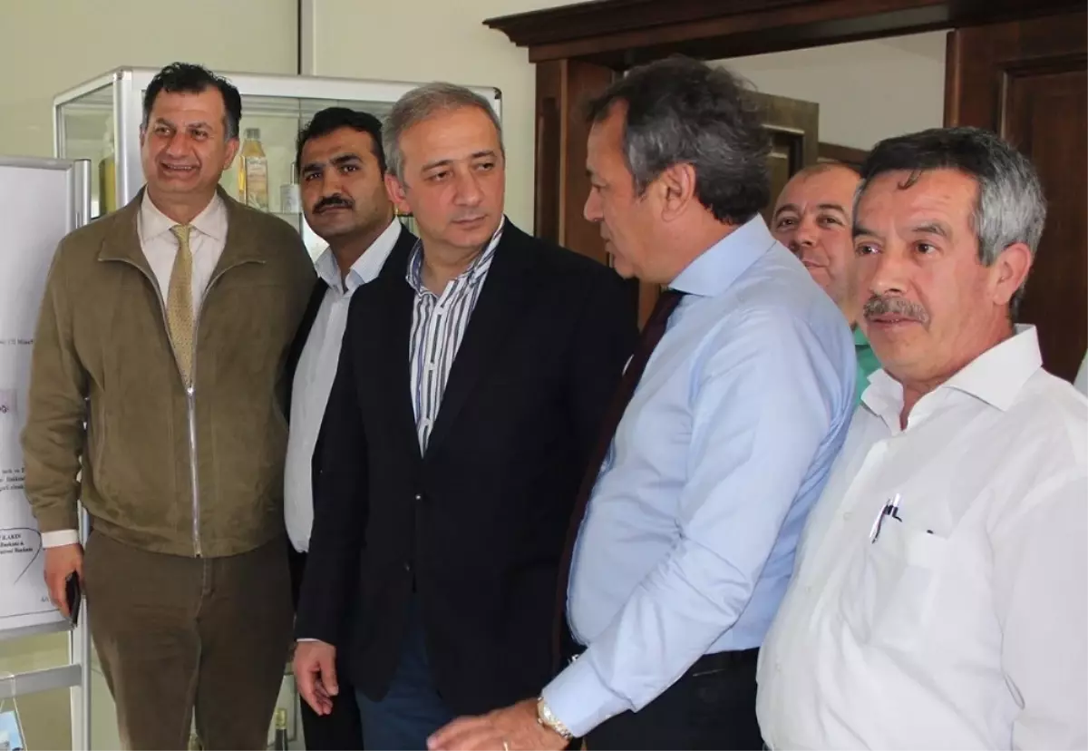 Mitso, Milas'a İki Fakülte Daha İstedi