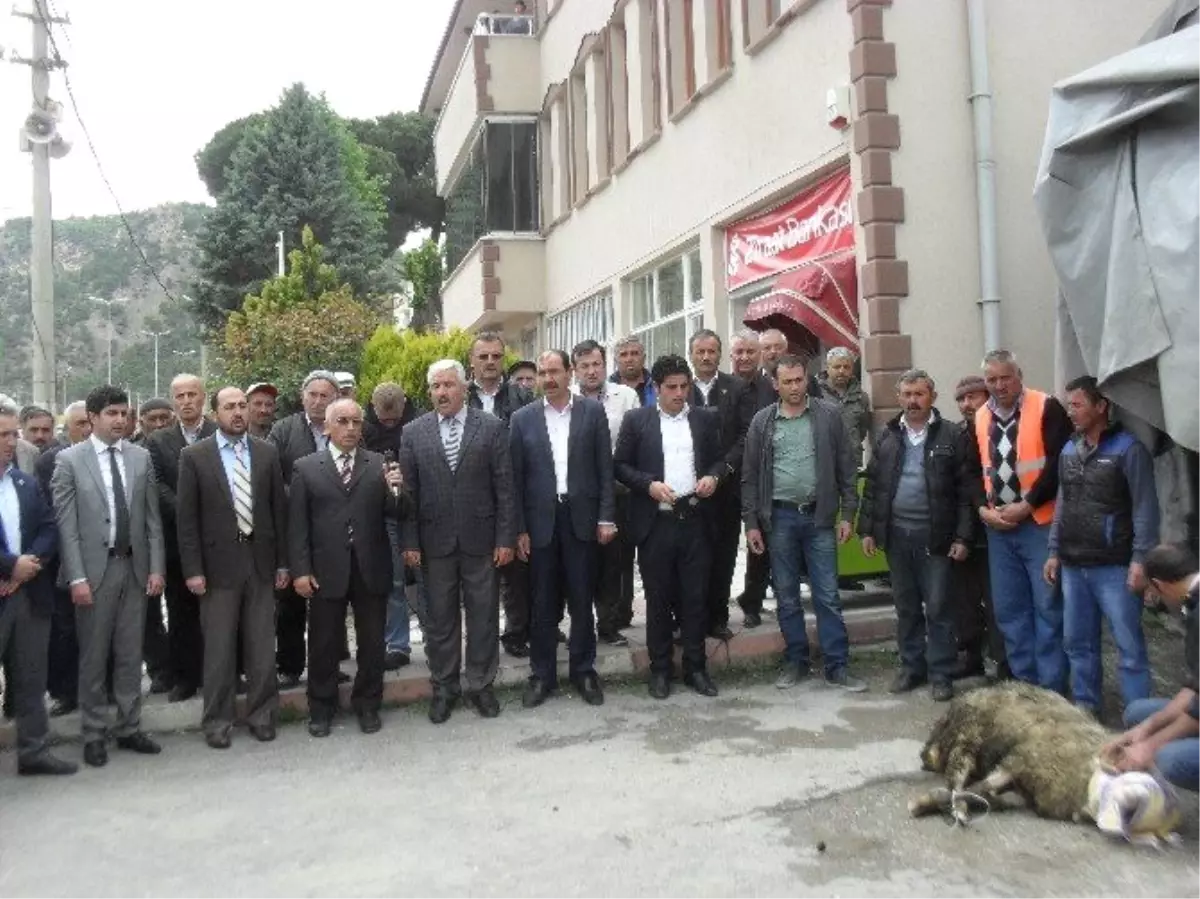 Şeyh Şaban-ı Veli'yi Anma Etkinlikleri