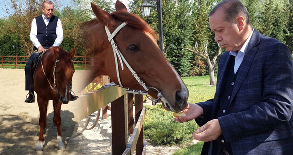 Erdoğan Ata Bindi, Mustafa Varank O Anların Fotoğraflarını Paylaştı