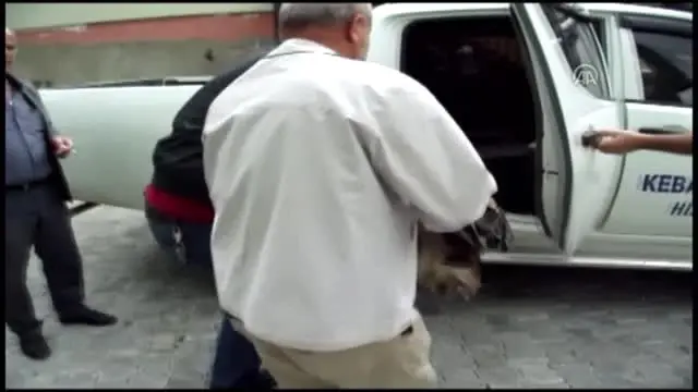 Akbaba Avcıların Hedefi Oldu Akbaba Avcıların Hedefi Oldu