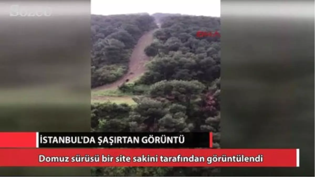 İstanbul'da Şaşırtan Olay