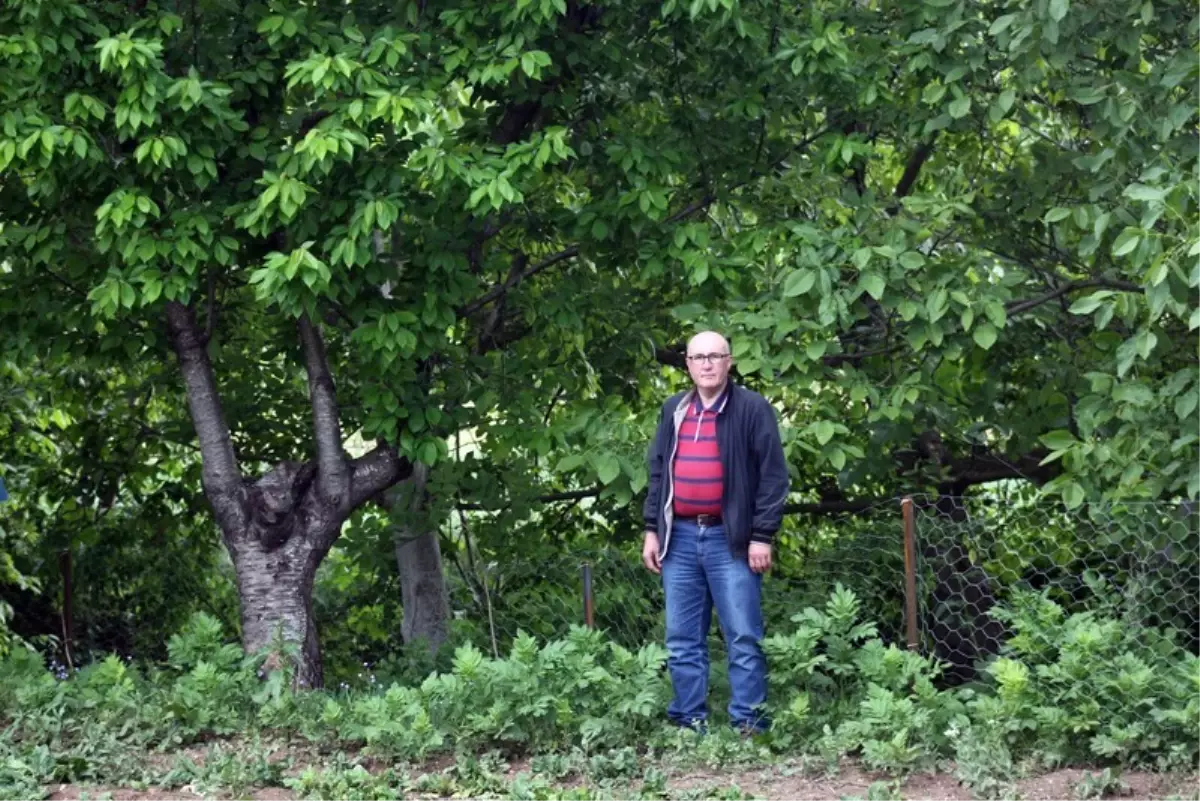 Üniversiteden Organik Tarım Çağrısı