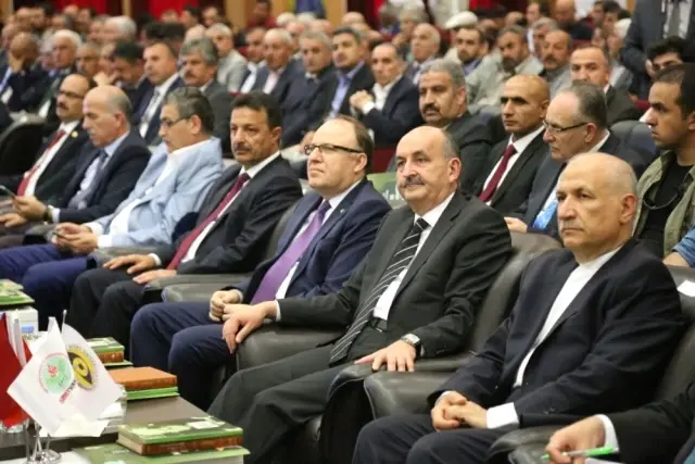 Siirt'te 'Şeyh Muhammed El Hazin Sempozyumu' Düzenlendi Siirt'te 'Şeyh Muhammed El Hazin Sempozyumu' Düzenlendi