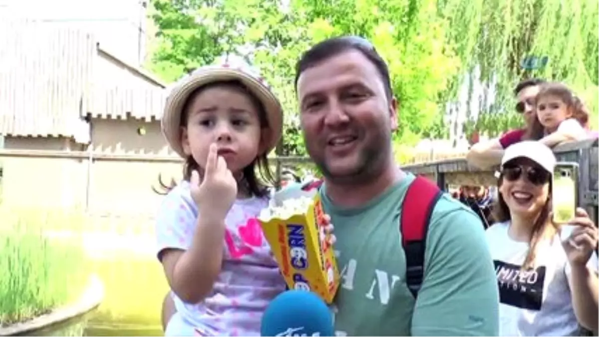 Dev Timsahları Elleri ile Beslediler
