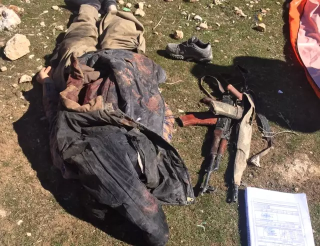 PKK'nın Tendürek Dağı Kuzeyi Sözde Diyadin Bölge Sorumlusu Öldürüldü