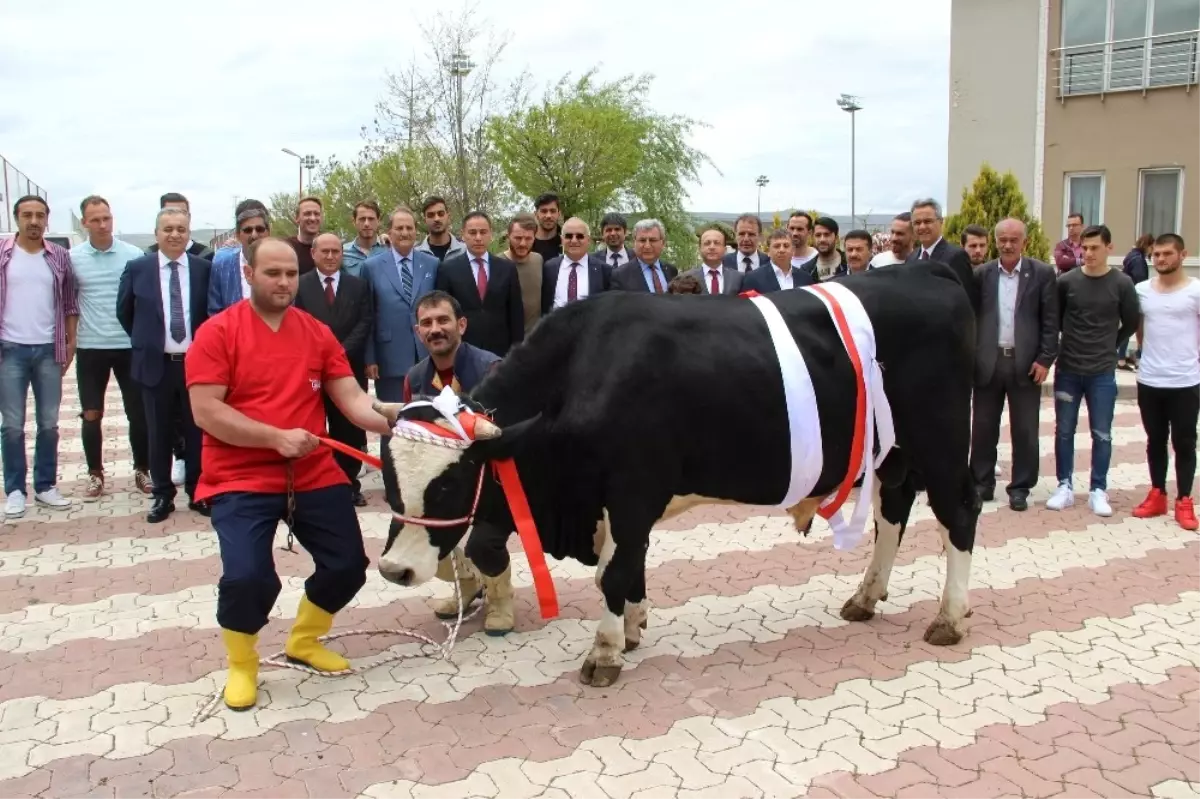 Stk'lardan Sivasspor'a Destek