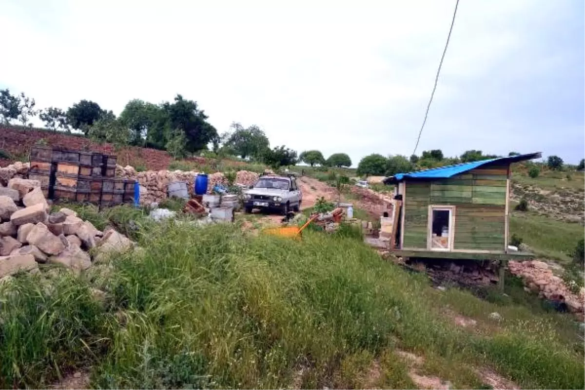 Doğasever Öğretmen