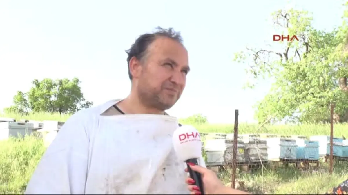 Siirt'te Dağı Bağ Yapan Öğretmen