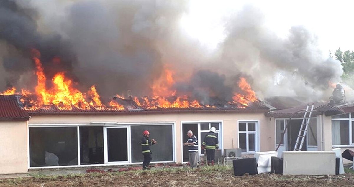 Kocaeli'de Birleşik Arap Emirlikleri'nin Kurucu Kralı'nın Çiftliğinde Yangın Çıktı