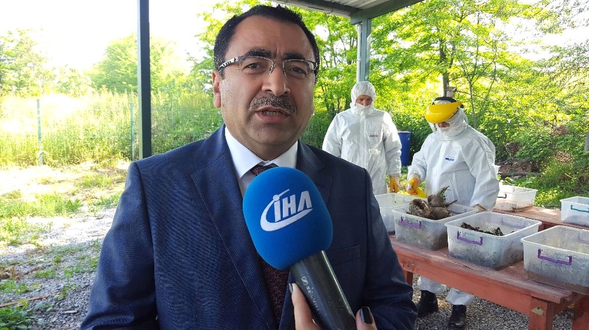 Ormanlarda Biyolojik Mücadele Devam Ediyor