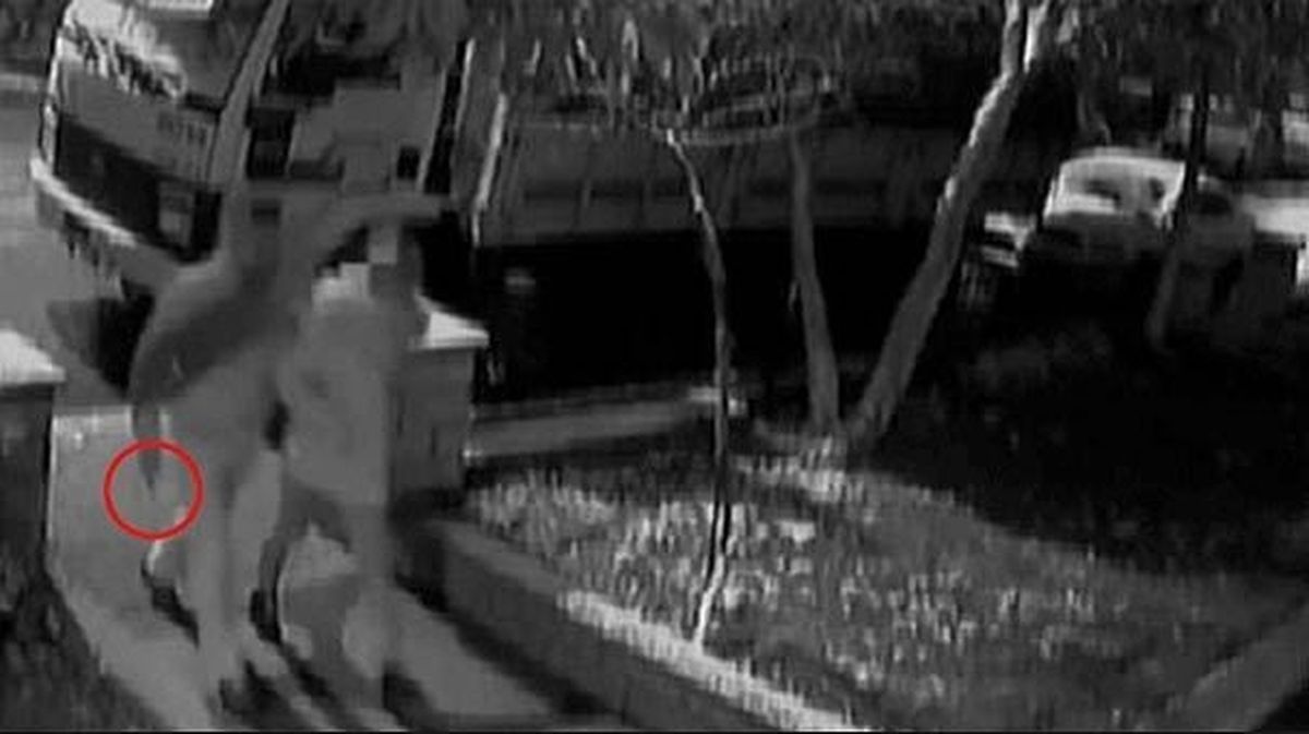 Bağdat Caddesi'nde Tecavüze 12 Yıl Daha: Kadının İstediğini Yapma Özgürlüğüne İhlal