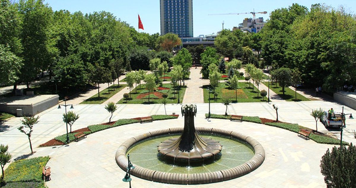 Taksim Gezi Parkı'ndaki Köpekler İğneyle Bayıltılarak Toplandı