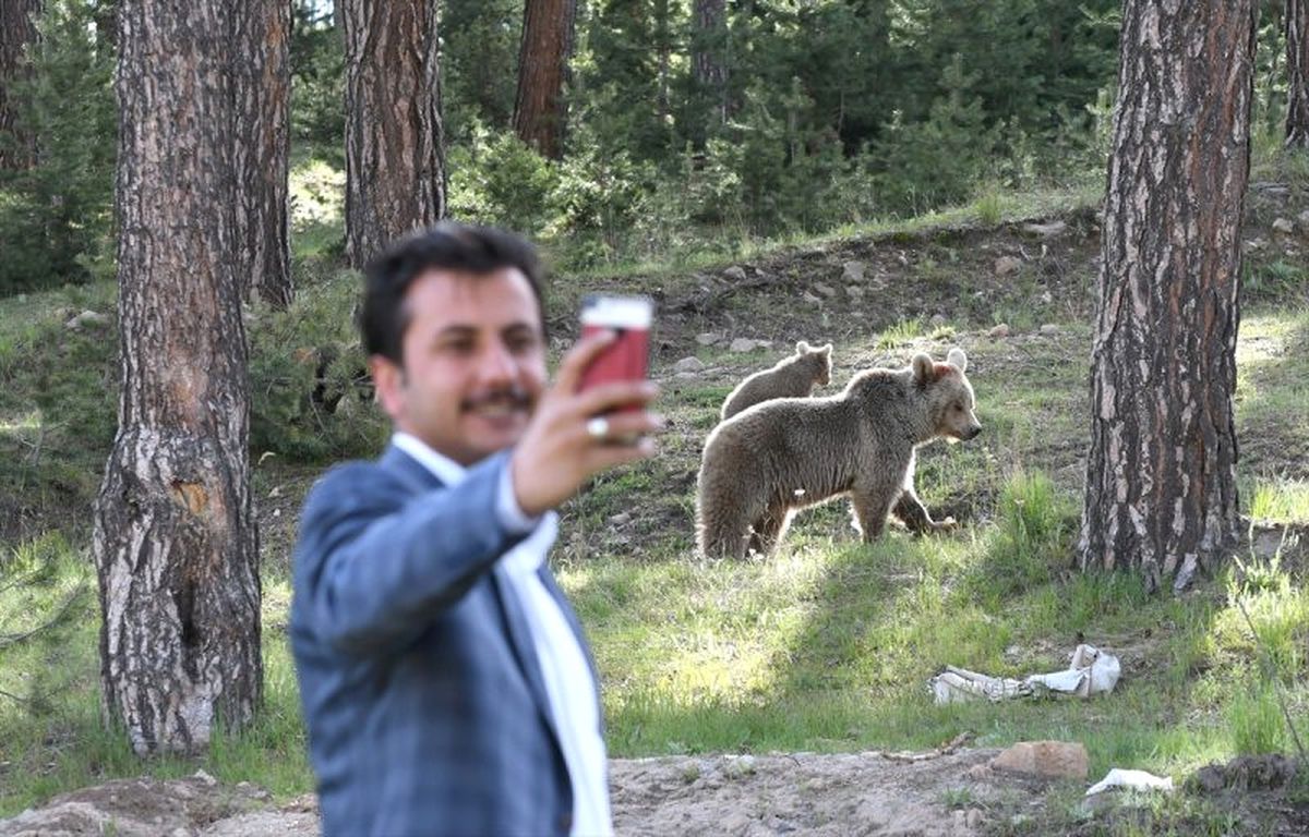 Kars'ta Vatandaşlar Boz Ayılarla Selfie Çekti