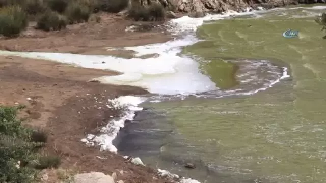 Bafa Gölü Köpürdü