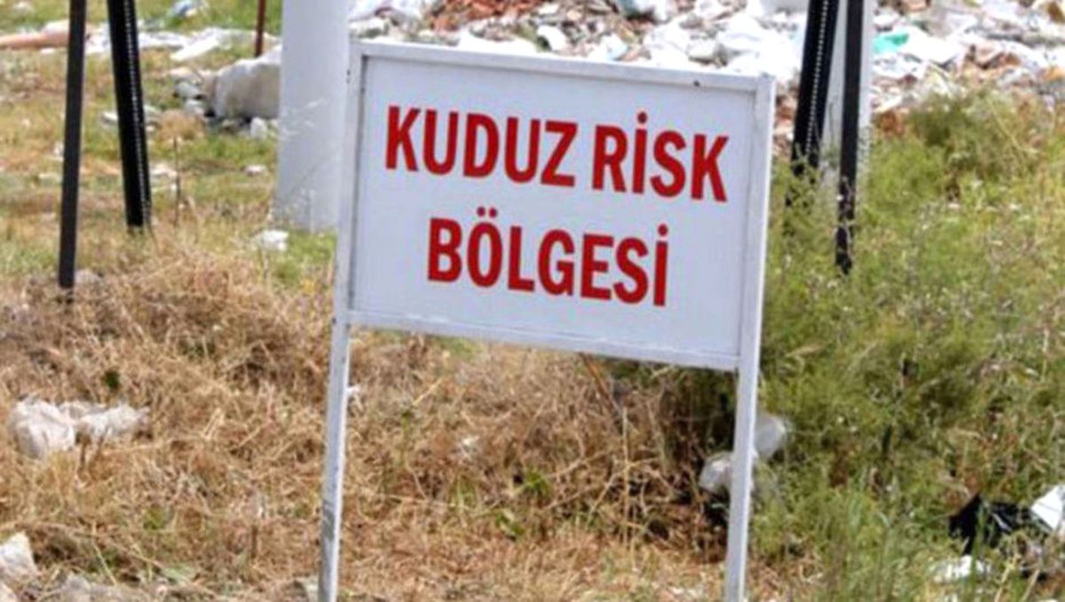 Bursa'da Kuduz Vakası Görülen Köyler Karantinaya Alındı