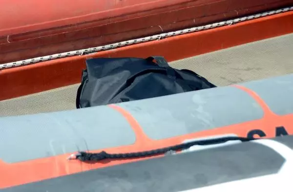 Domuz Leşi, Ceset Paniğine Neden Oldu