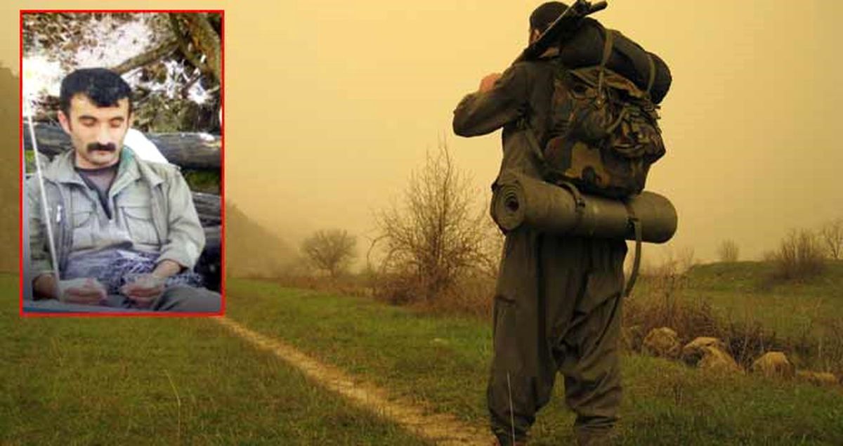 Terör Örgütü PKK'nın 'Sözde Özel Güç Sorumlusu' Öldürüldü