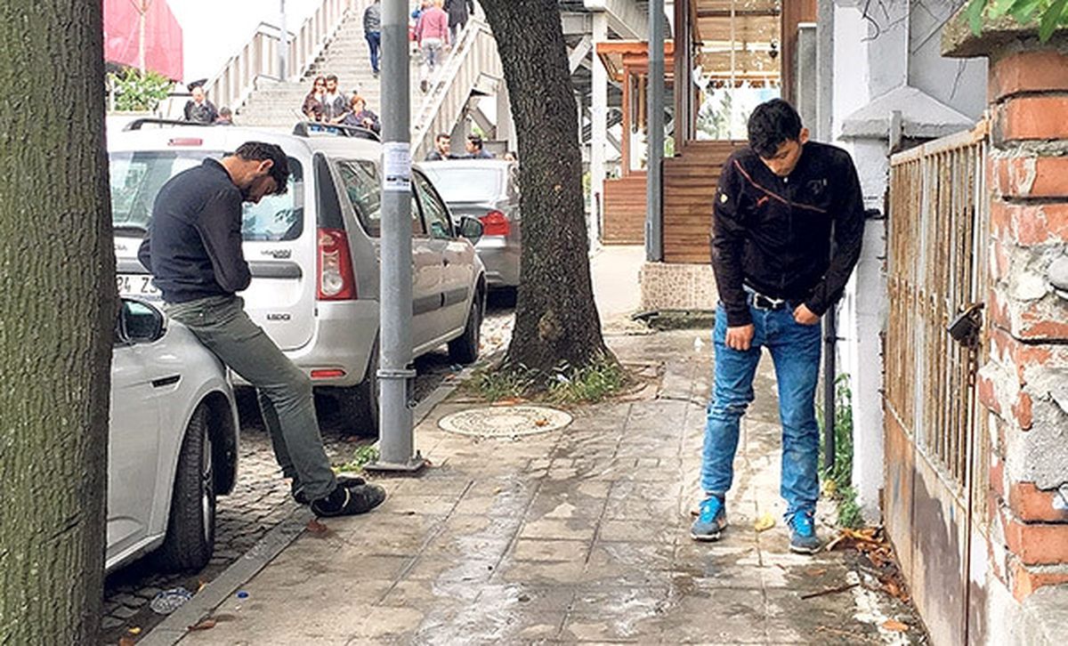 Akılalmaz Rakam: Türkiye'de 500 Bin Bonzai Bağımlısı Var