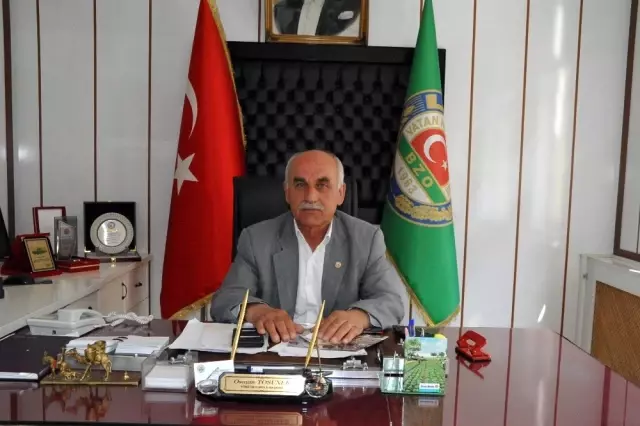 Bafra Ovası'nda Tütün Dikim Sezonu Açıldı