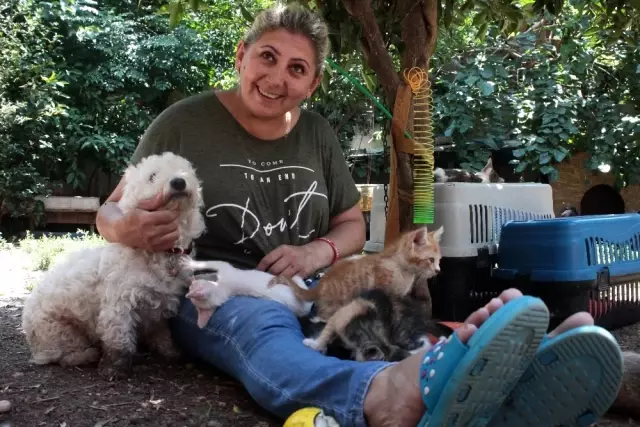 Evinde Yüzü Aşkın Kedi ve Köpek Besleyen Kadın Mahkemelik Oldu!