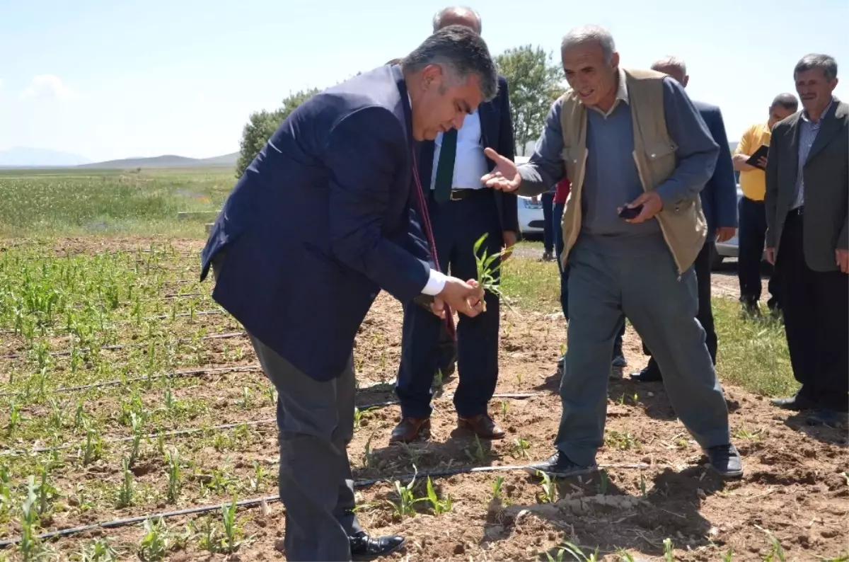 Ereğli'de Dolu Yağışının Ardından Arazide İncelemeler Sürüyor