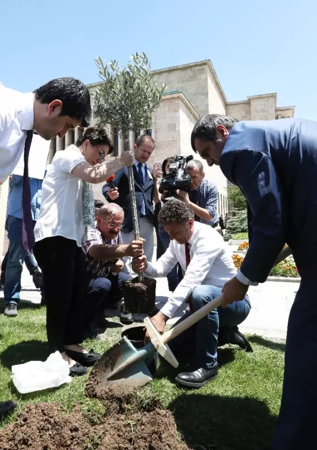CHP Milletvekillerinden Zeytinlik Protestosu CHP Milletvekillerinden Zeytinlik Protestosu