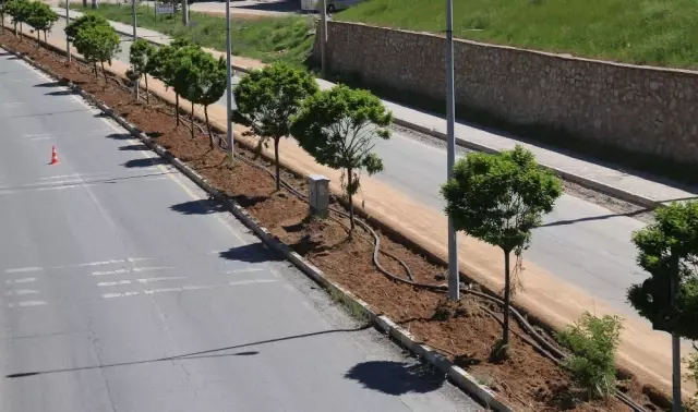 Bitlis Belediyesinden Refüj Çalışması Bitlis Belediyesinden Refüj Çalışması
