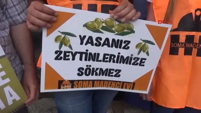 Manisa Yırcalı Zeytincilerden Tek Ses Zeytinime Dokunma Manisa Yırcalı Zeytincilerden Tek Ses Zeytinime Dokunma