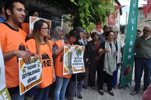 Yırca'da Üreticilerin 'Zeytinime Dokunma' Protestosu Yırca'da Üreticilerin 'Zeytinime Dokunma' Protestosu