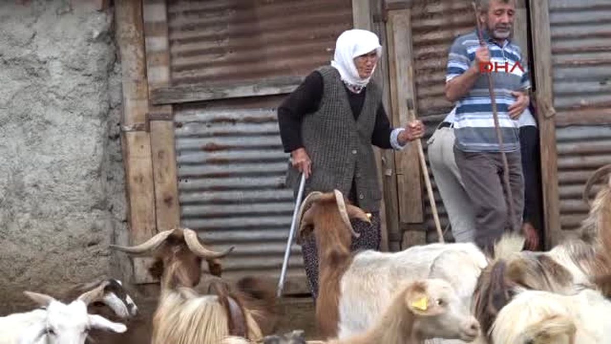 Eskişehir 50 Yıldır Elektriksiz Yaşayan Hesna Nine: Karanlıktan Kurtarın Beni, Işık Istiyorum