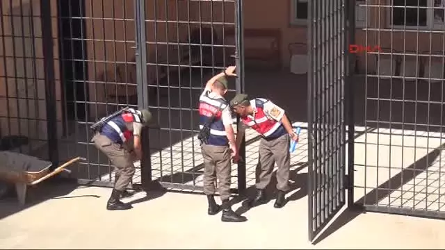 Edirne Fetö Davasında Gün Boyu Sadece Iddianame Okundu