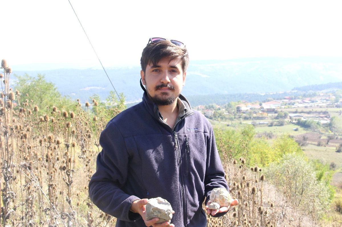 Ilgaz Dağı'nda Bulunan Deniz Fosili Tam 60 Milyon Yıllık