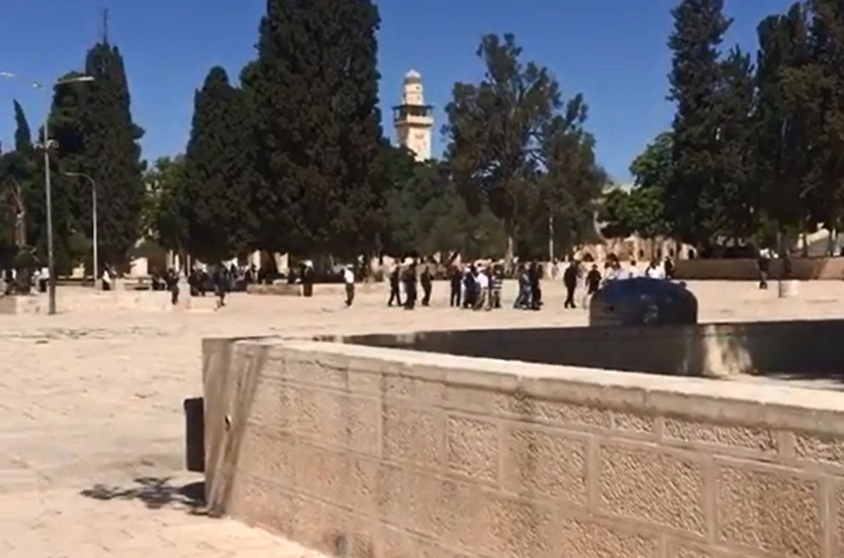 Gazze'de Yahudi Öğrenciler El-Aksa Camii'ni Basarak Müslümanları Taciz Etti