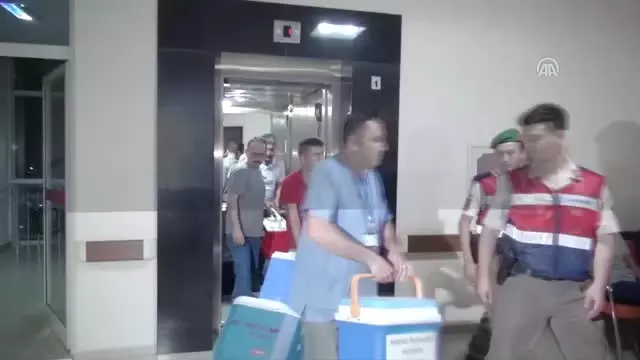 Yaşam Mücadelesini Kaybeden Genç Kız Organlarıyla Hayat Verecek Yaşam Mücadelesini Kaybeden Genç Kız Organlarıyla Hayat Verecek