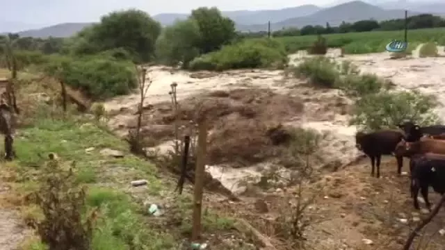 Aydın'da Yaz Yağmuru Sele Döndü Aydın'da Yaz Yağmuru Sele Döndü