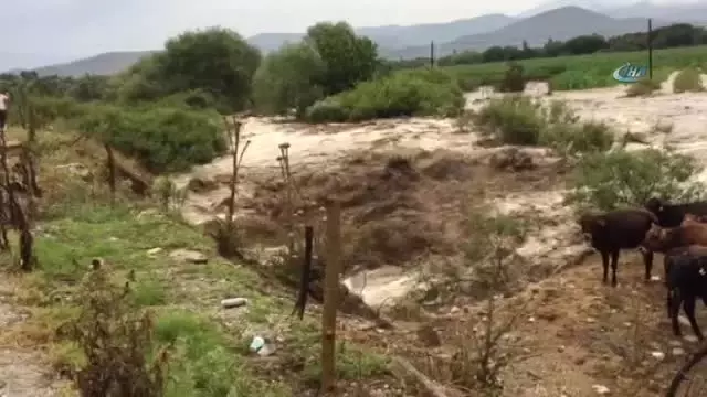 Aydın'da Yaz Yağmuru Sele Döndü Aydın'da Yaz Yağmuru Sele Döndü