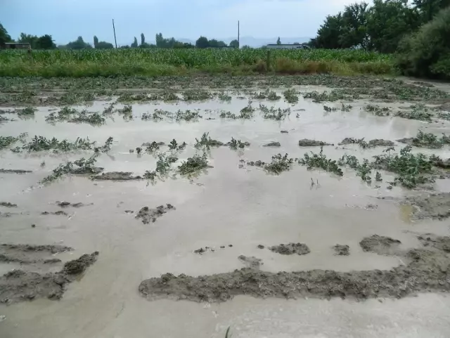 Aydın'da Yaz Yağmuru Sele Döndü Aydın'da Yaz Yağmuru Sele Döndü