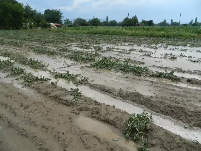 Aydın'da Yaz Yağmuru Sele Döndü Aydın'da Yaz Yağmuru Sele Döndü