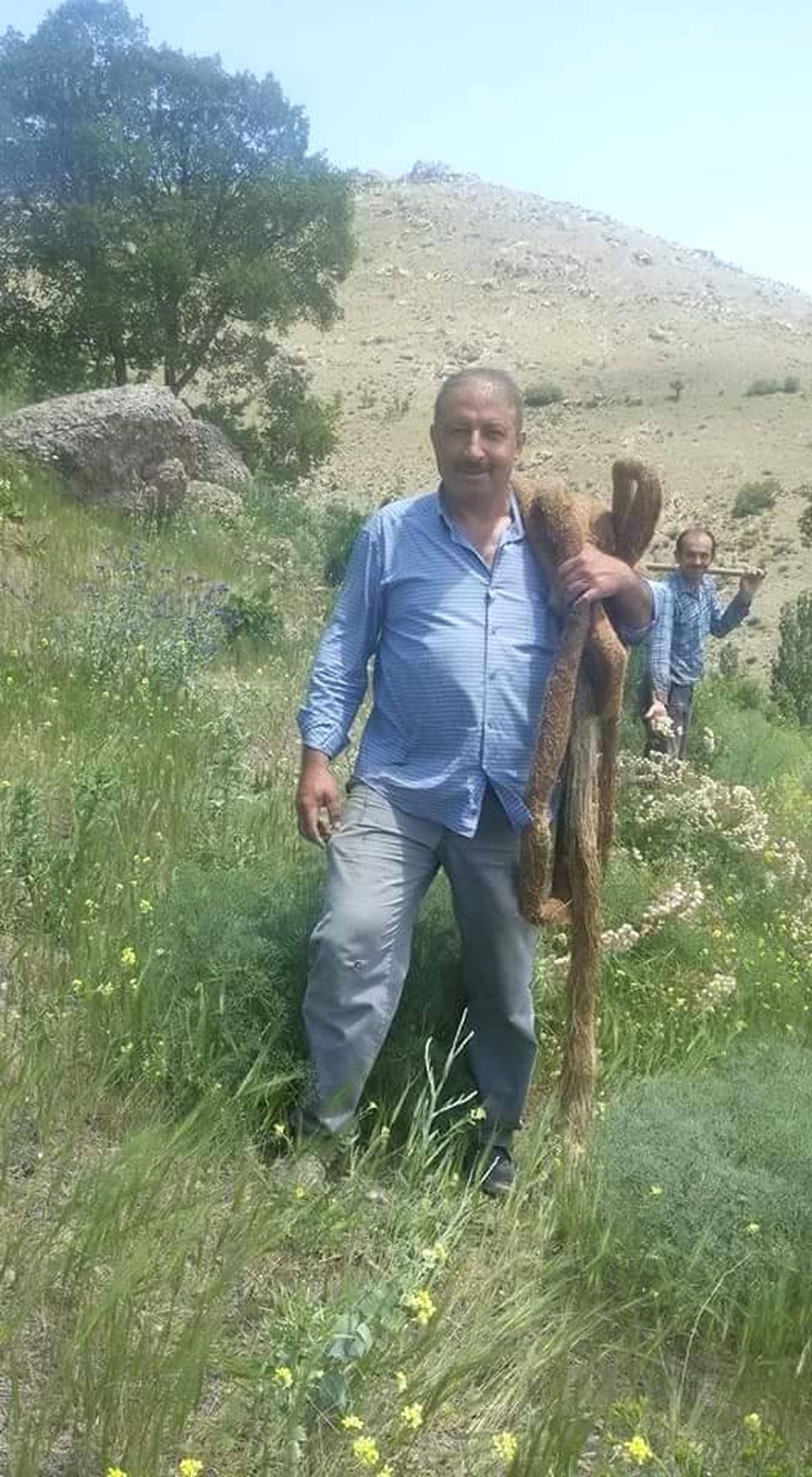 İçme Suyu Borusunun İçinden 13 Metre Söğüt Ağacı Kökü Çıktı
