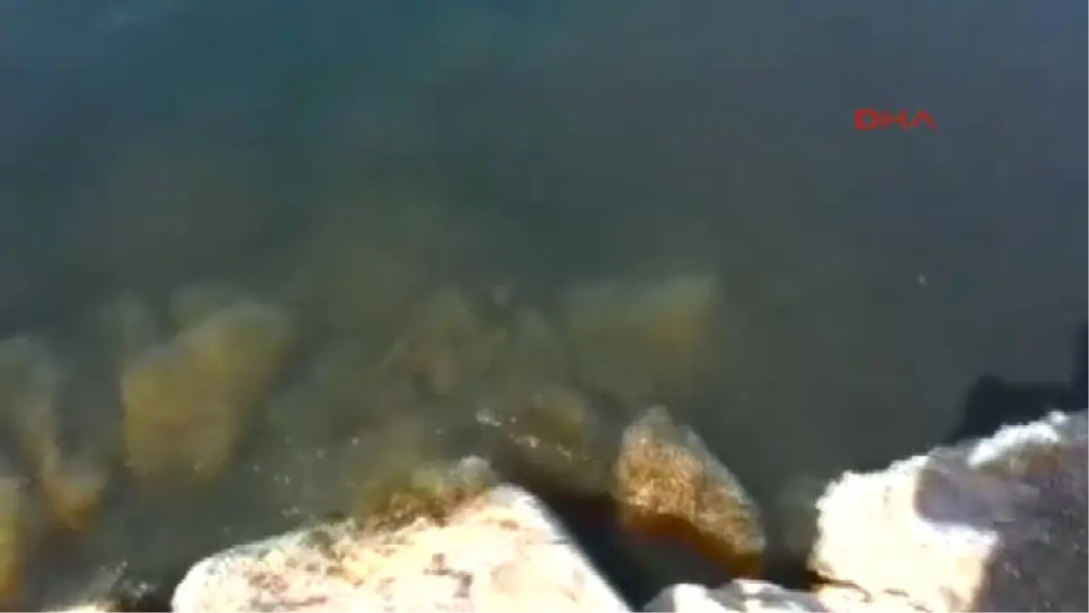 Izmir Karaburun'da Depremden Sonra Tsunami Yaşanmış