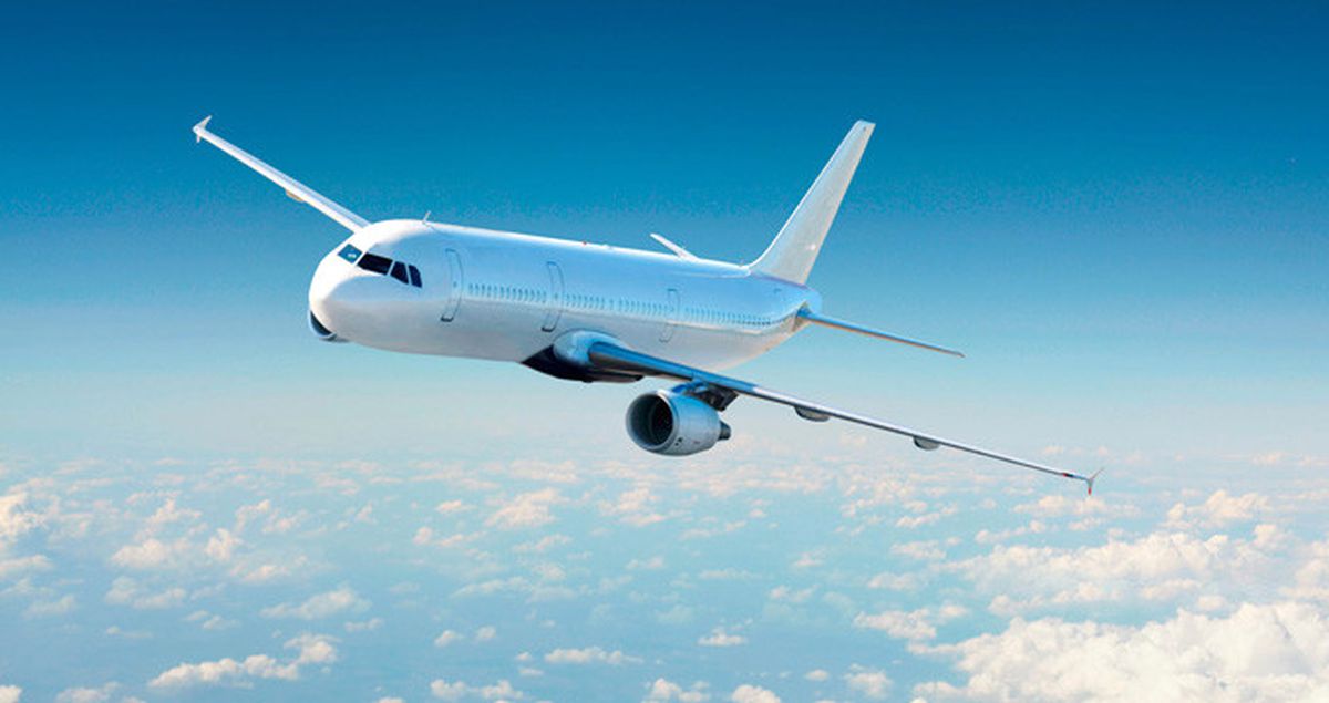 Katar'a Uçakla 4 Bin İnek Götürülecek