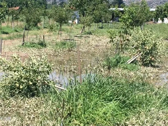 Aydın'da Selin Yaralarının Sarılması İçin Çalışma Başlatıldı Aydın'da Selin Yaralarının Sarılması İçin Çalışma Başlatıldı