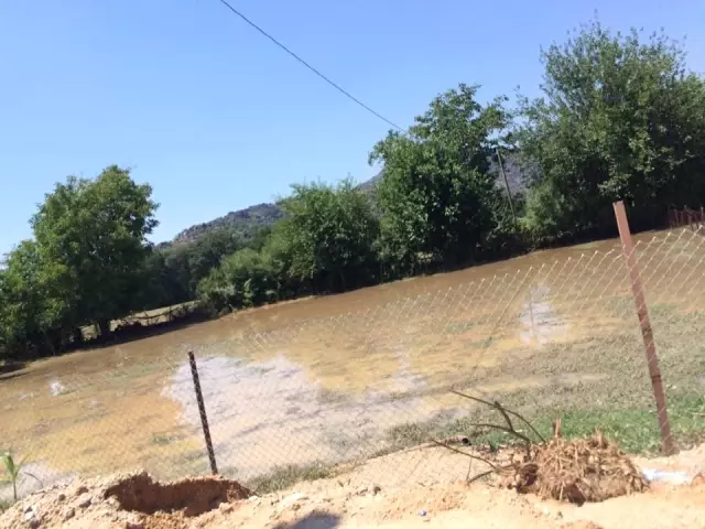 Aydın'da Selin Yaralarının Sarılması İçin Çalışma Başlatıldı Aydın'da Selin Yaralarının Sarılması İçin Çalışma Başlatıldı