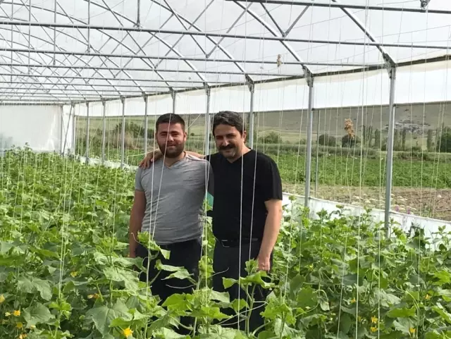 Seyitgazi'de Orköy Bereketi Seyitgazi'de Orköy Bereketi