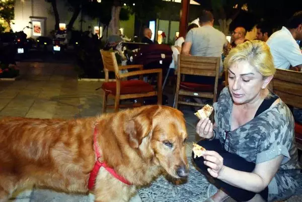 Muazzez Ersoy Köpeğine de Pizza Yedirdi Muazzez Ersoy Köpeğine de Pizza Yedirdi