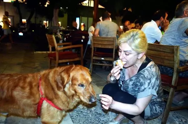 Muazzez Ersoy Köpeğine de Pizza Yedirdi Muazzez Ersoy Köpeğine de Pizza Yedirdi