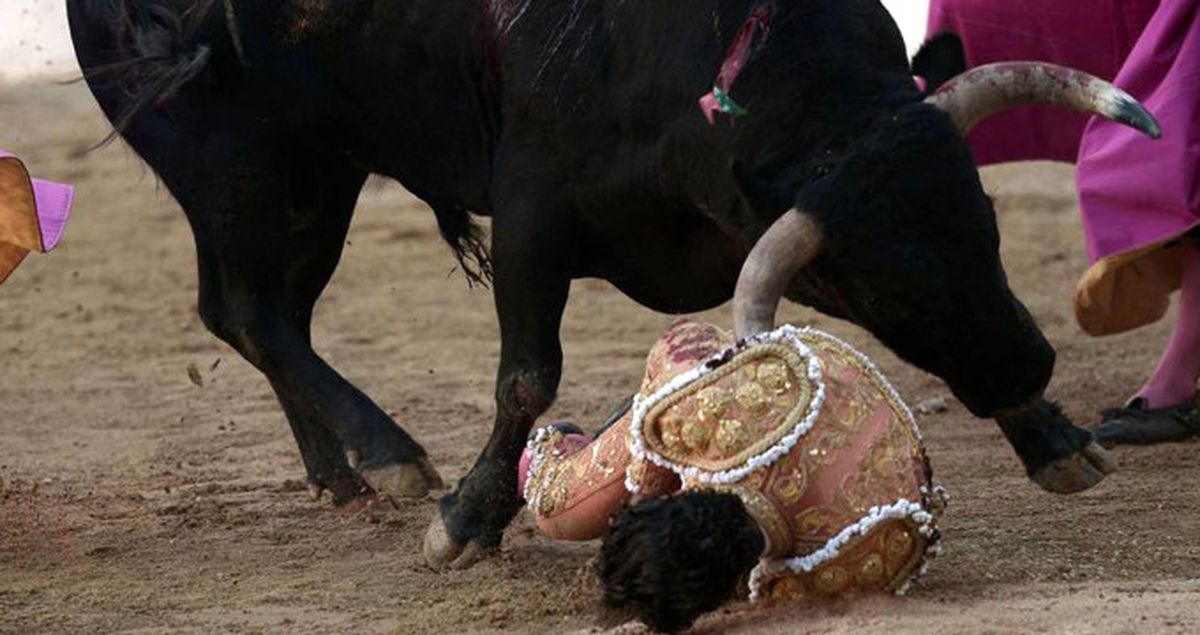 Yere Düşen Matador, Boğadan Aldığı Darbeyle Hayatını Kaybetti