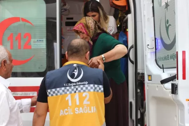 Bahçeyi İlaçlayan Kadın Zehirlendi