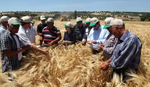 Çanakkale'de Arpa Tarla Günü Yapıldı